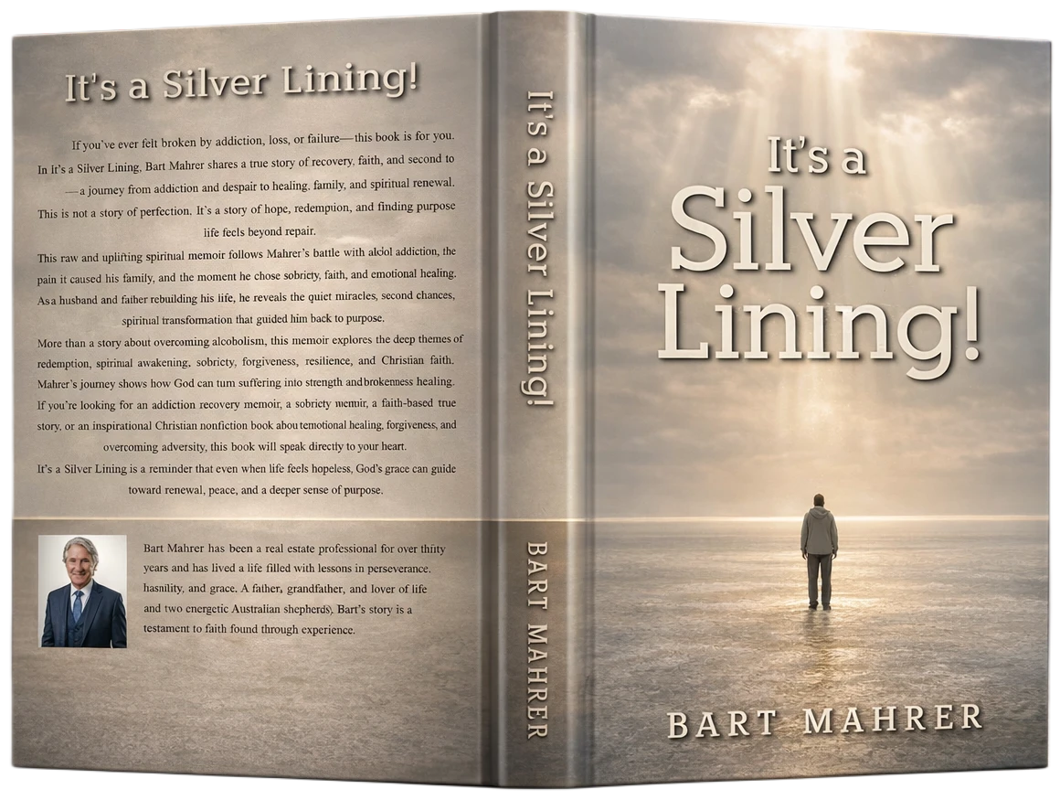 It's Silver Lining Book Cover